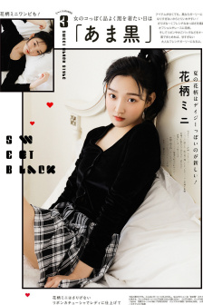 WORDPRESS成品网站